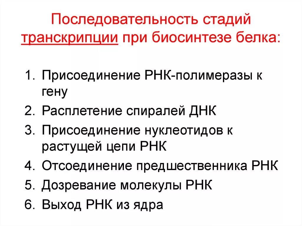 Установите последовательность этапов транскрипции