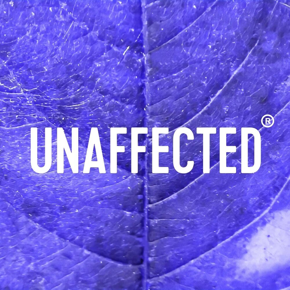 Unaffected перевод. Unaffected логотип. Unaffected одежда. Unaffected, Москва. Unaffected обои.