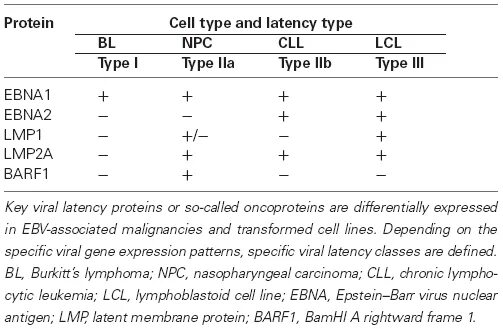 Эпштейн Барр VCA И EBNA. Вирус Эпштейна Барр EBNA. Таблица Epstein Barr virus EBNA таблица. АТ К Эпштейн Барр EBNA. Barr virus igg положительный