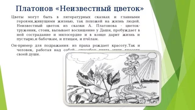 О чем произведение неизвестный цветок. А П Платонов неизвестный цветок читательский дневник. Произведение неизвестный цветок. Платонов а. "неизвестный цветок". Неизвестный цветок Платонов герои.