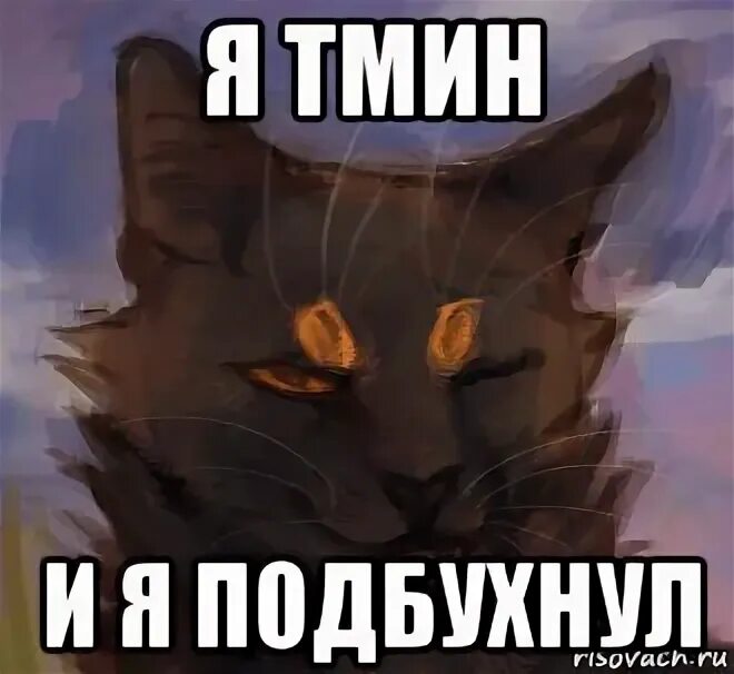 Подбухну песня. Биртман. Биртман подбухну. Биртман подбухну. Я забуду о тебе песня подбухнул.