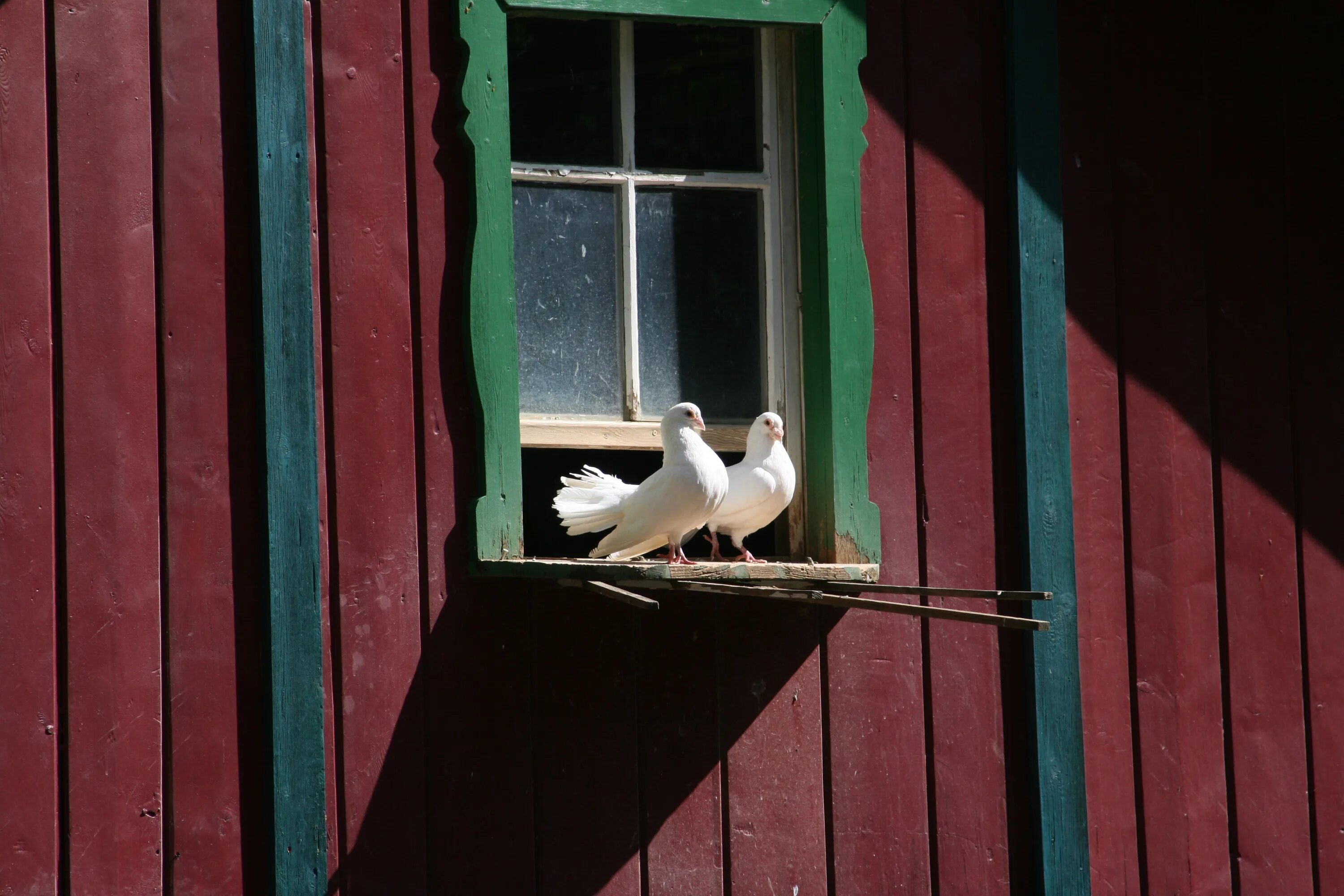 К чему снится голубь в окне. Голубятня на доме. Голубятник в доме крышах. Голубятня на крыше дома. Дом для голубей.