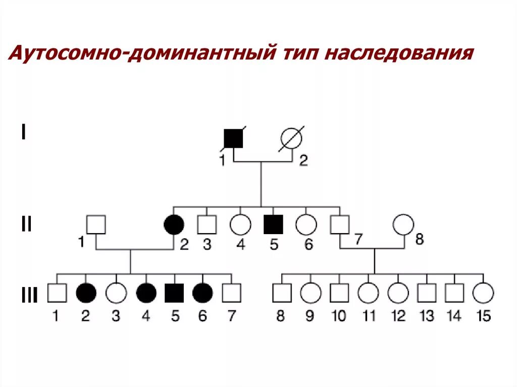 Аутосомно доминантное наследование заболеваний. Аутосомно-доминантный Тип наследования. Аутосомно доминантный Тип наследовани. Аутосомно-доминантный Тип наследования схема. Родословная с аутосомно доминантным типом наследования заболевания.