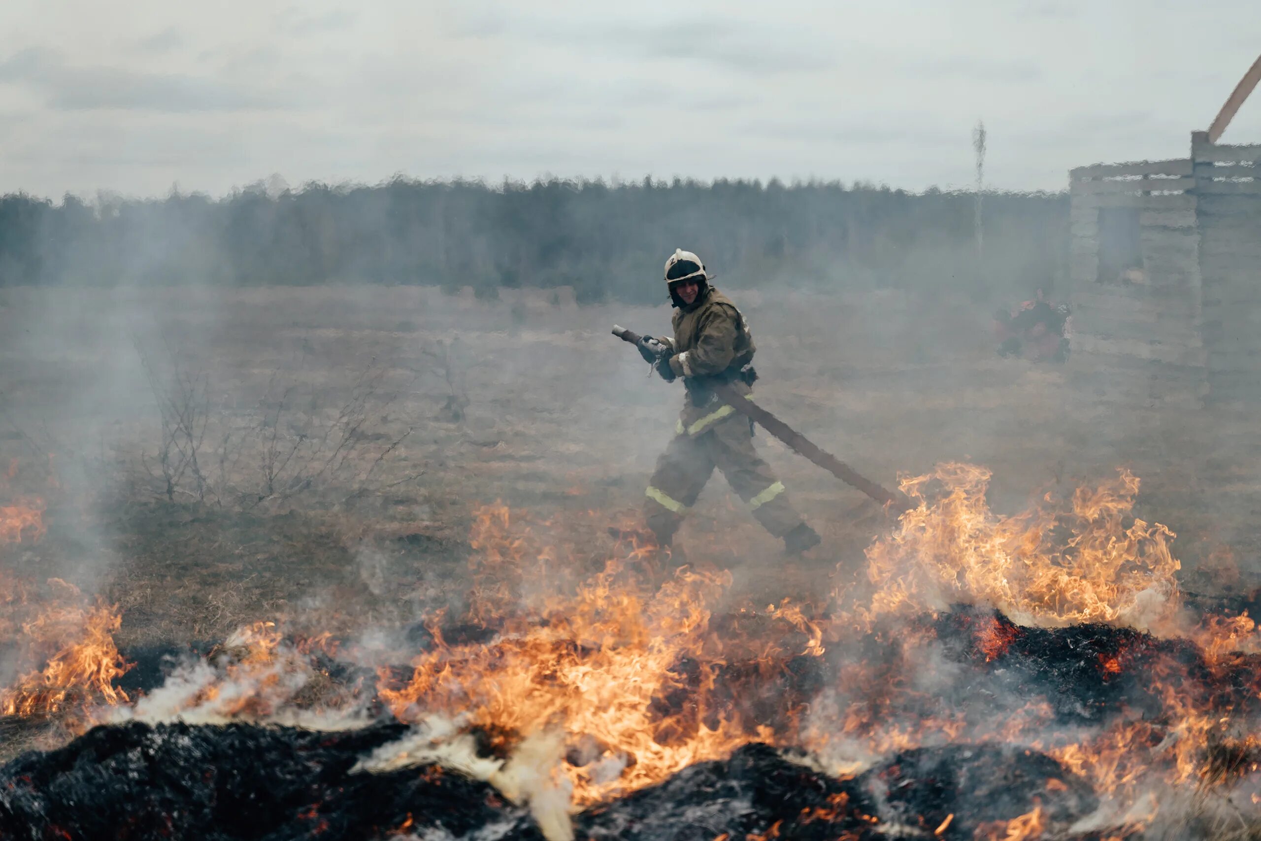 Правда ни в огне. Пожар в Тверской области горел лес. Лесные пожары в Тверской области. Сгоревший лес. Масштабные пожары в Тверской области.