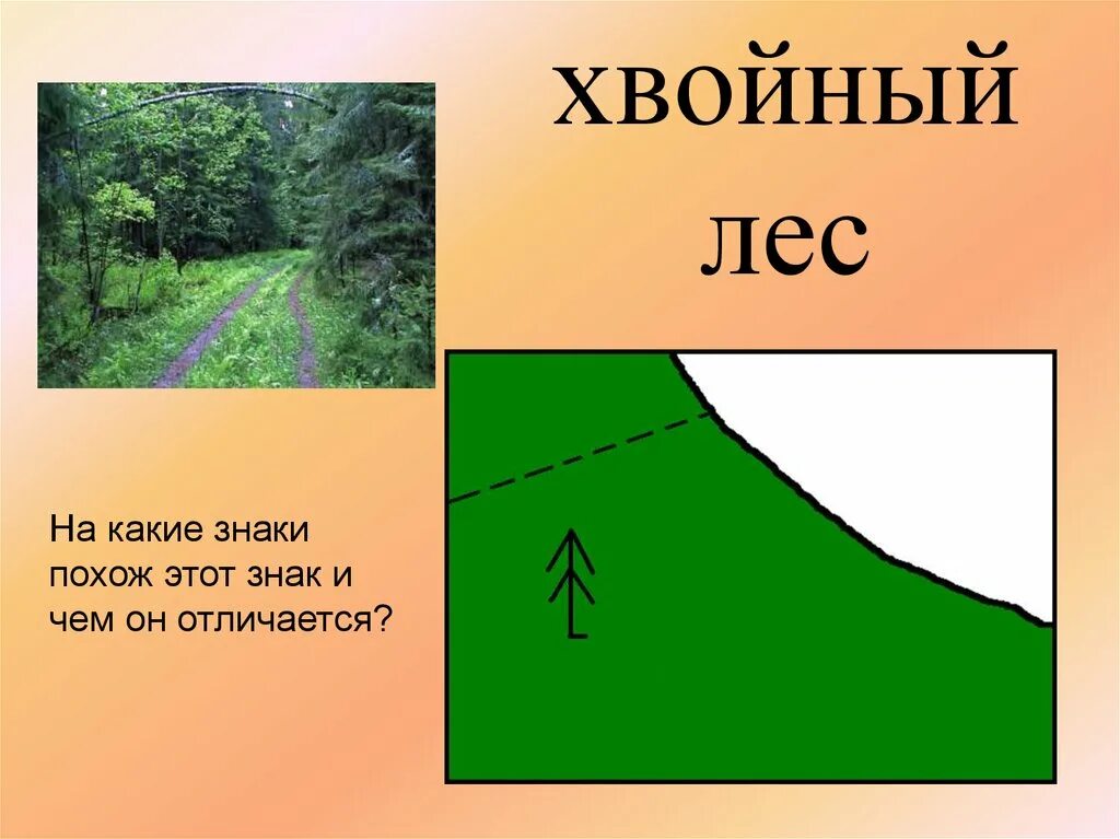 Хорошо в лесу какой знак. Условный знак хвойного леса. Хвойный лес на плане местности. Лиственный лес на плане местности. Обозначение хвойного леса на плане местности.