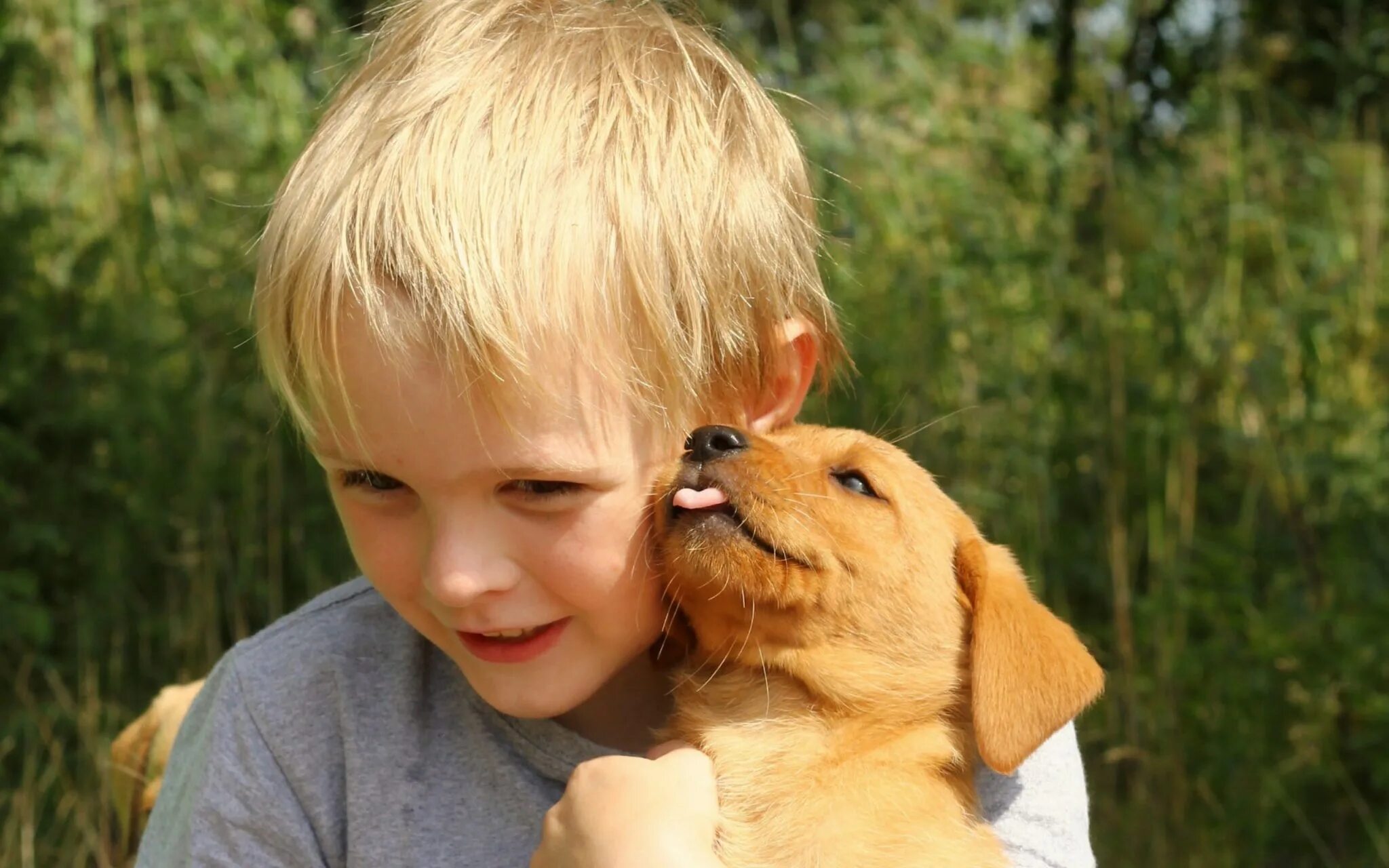 Собака для ребенка 8 лет. Собака для детей. Мальчик с собакой. Щенок мальчик. Домашние питомцы для детей.