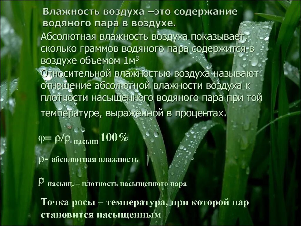 Влажность воздуха причины. Влажность воздуха значение влажности. Влияние влажности воздуха на растения. Презентация на тему влияние влажности. Презентация на тему влажность воздуха.