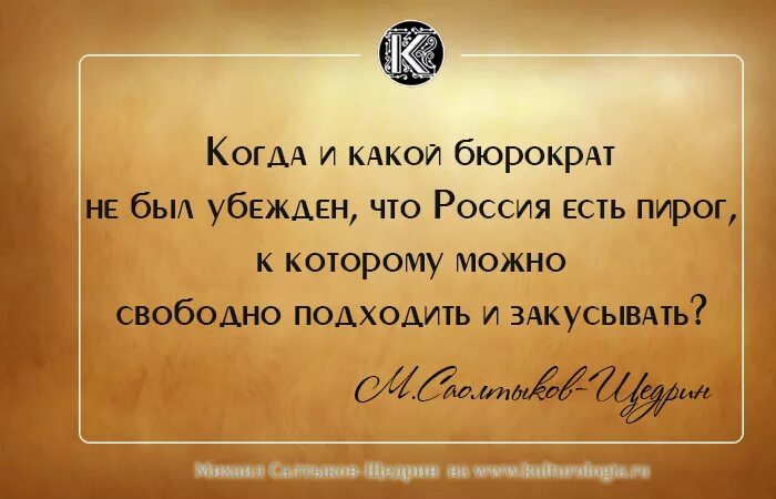 Разбудите пьют и воруют