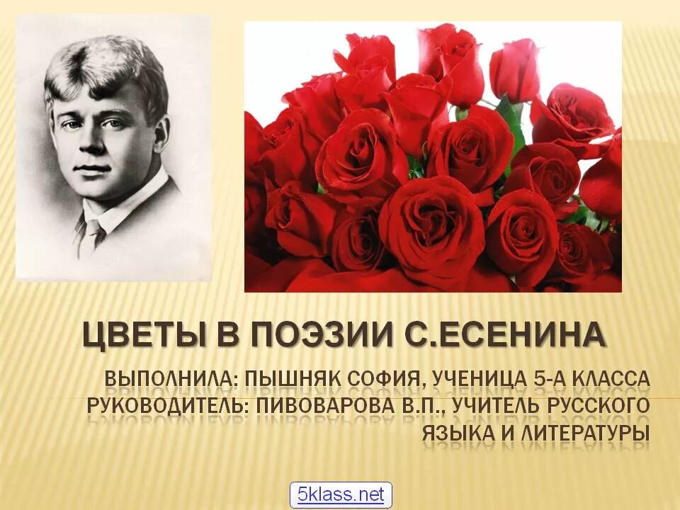 Стихи Есенина про цветы. Цветы в поэзии. Цветы в поэзии Есенина. Стихи Есенина о цветах.