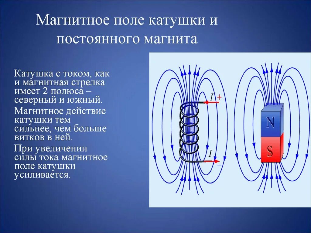 Выберите рисунок на котором изображено магнитное поле. Линии магнитной индукции катушки с током. Магнитное поле в проводнике с током полюса. Линии магнитной индукции в катушке. Линии магнитной индукции поля катушки с током.