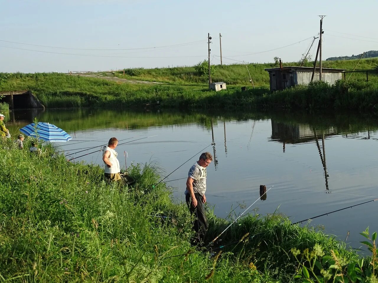 Платная рыбалка в орловской области. Пруд Лубна Орловская область. Неручанское водохранилище Орловская область. Лубна Орловская область рыбалка. Река Лубна Орловская область.