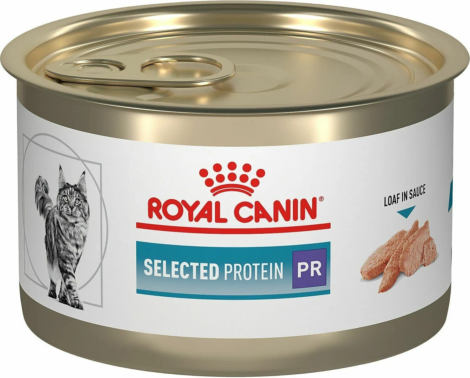 Royal canin gastrointestinal кошек. Роял Канин гастро Интестинал. Роял Канин гастро Интестинал для котят. Корм для кошек Роял Канин гастро Интестинал. Royal Canin гастро Интестинал.