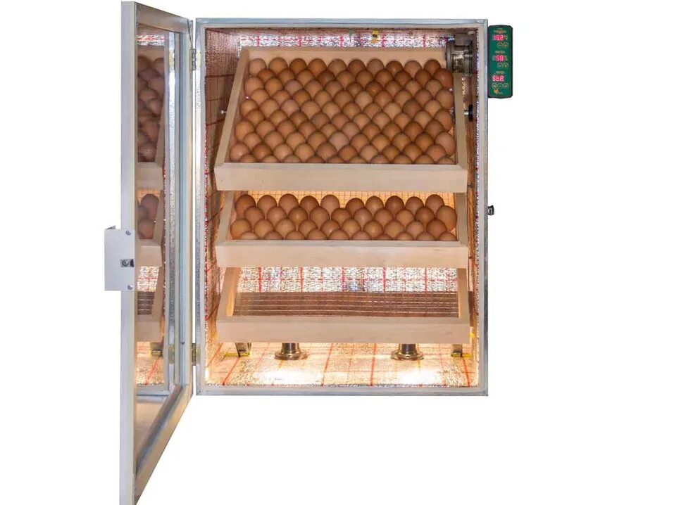 Китайский инкубатор 2021 книга. Инкубатор sititek 12. Инкубатор "sititek 48". Спектр-84-01. Инкубатор ламповый тандем -120.