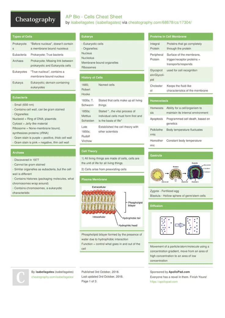 Sheets cells