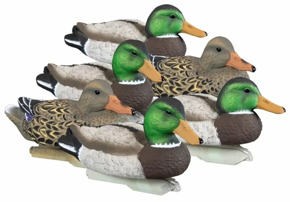 Утка кряква чучело. Чучело утки кряква селезень. Утиные чучела для охоты. Чучело кряква кормящаяся утка-пластик. Чучела гринхед.