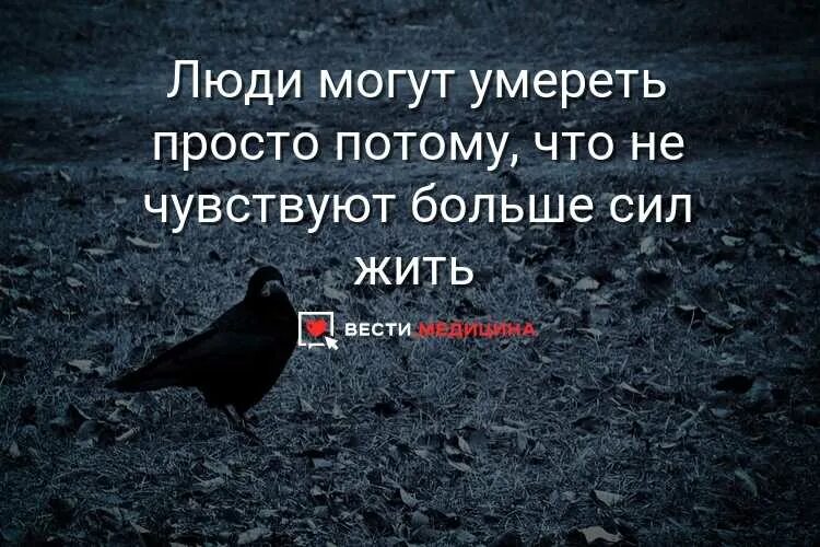 Лучше уж так сдохнуть чем никого никогда. Цитаты после которых хочется жить. Цитаты просто смерть. Я не хочу жить цитаты. Не хочу жить цитаты.