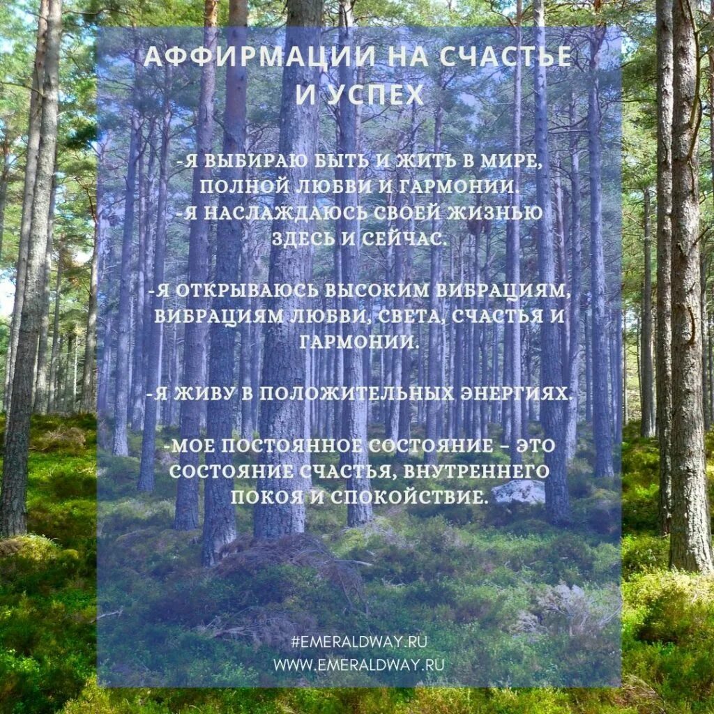 Текст аффирмации. Аффирмации. Аффирмация дня. Аффирмации на удачу. Сильные аффирмации.