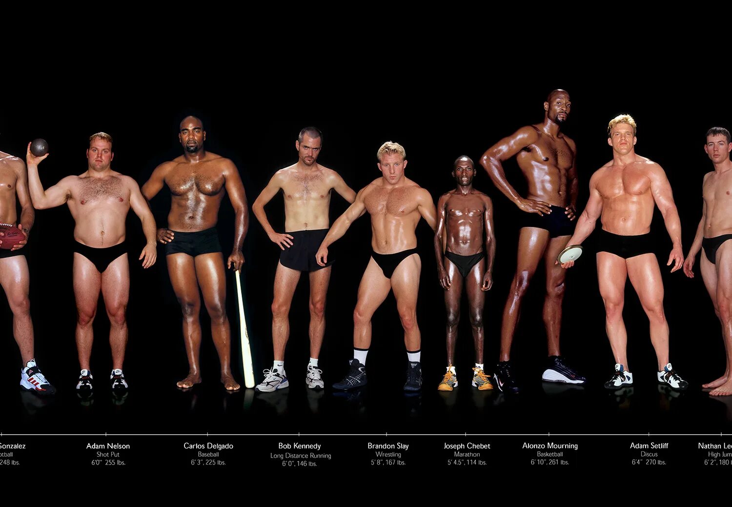 Фигуры спортсменов. Фигуры спортсменов разных видов. Телосложение разных спортсменов. Разные мужские фигуры. Вес и рост спортсменов