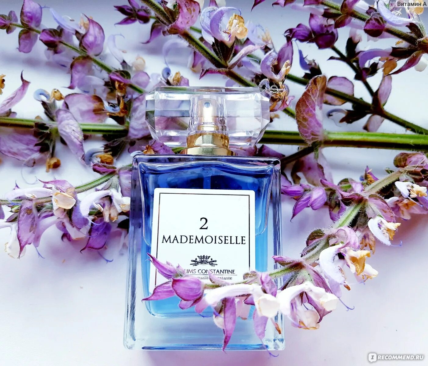 Мадмуазель вы как модель. Духи mademoiselle 1. парфюм мадемуазель 2. мадмуазель 17.
