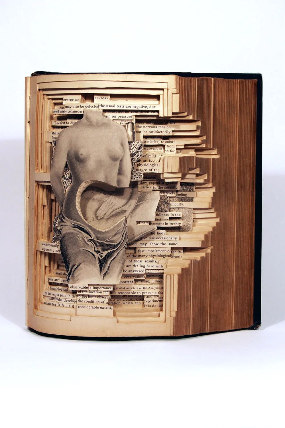 Книга художника. Каталог художника. Художник обложка. Художник обложка. Обложка для художника.
