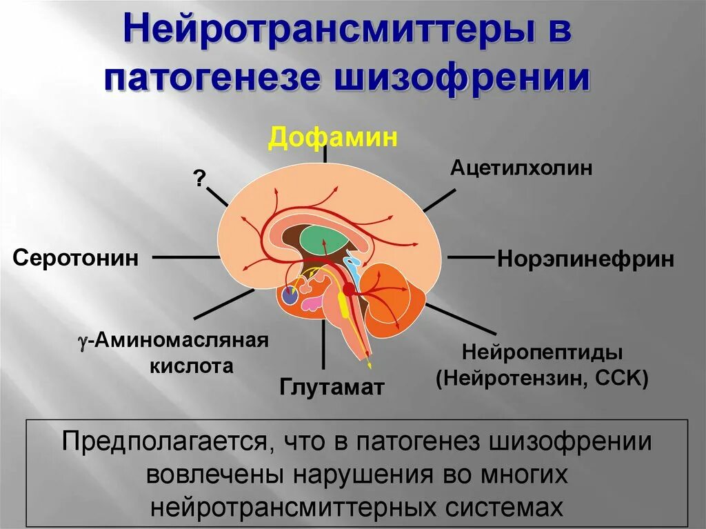 Нейротрансмиттеры. Нейромедиаторы мозга. Нейротрансмиттеры головного мозга. Нейротрансмиттерная система. Серотонин медиатор