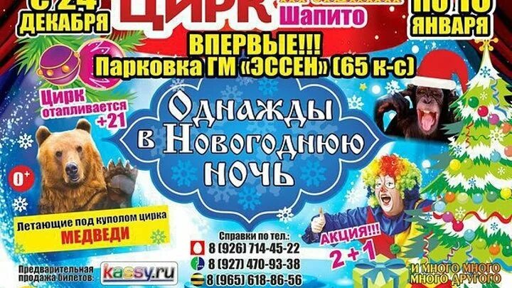 челны афиша концертов сары