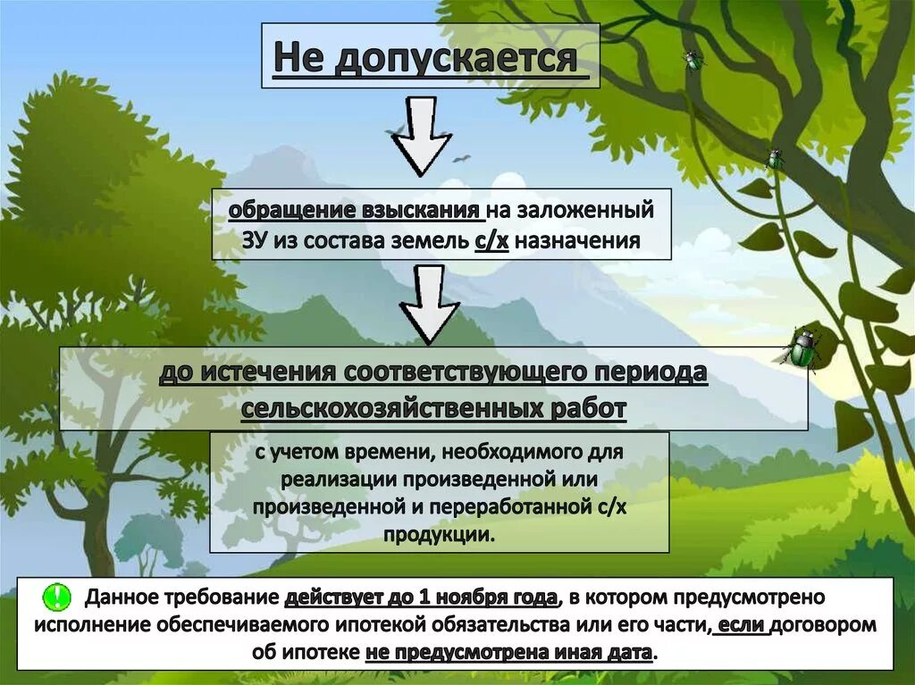 Какая особенность участка определила ваш выбор. Ипотека (залог) земельных участков. Ипотека на земельный участок. Особенности ипотеки земельных участков. Залог земельного участка.