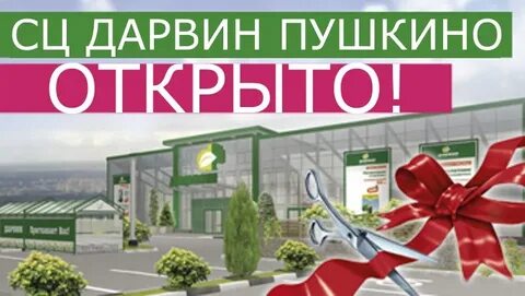 Дарвин центр пушкино каталог