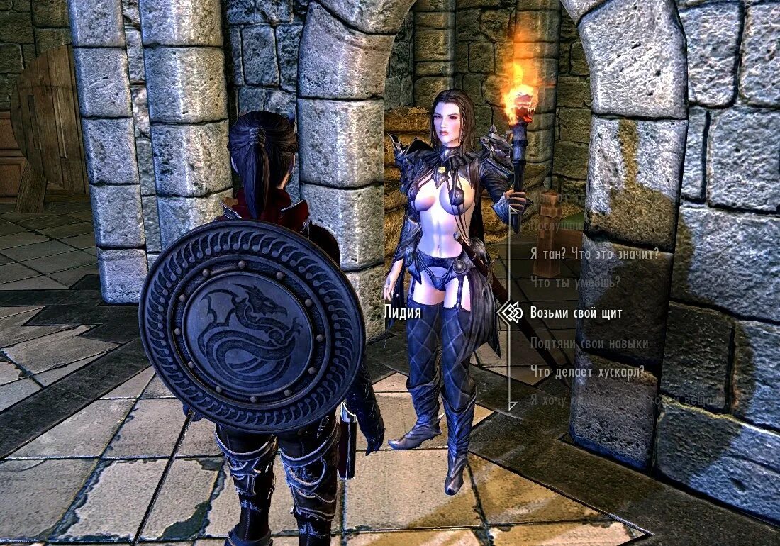 Как взять щит. Скайрим мод щит за спиной. skyrim щит на спине. щит сп. скайрим мод щит на спине.