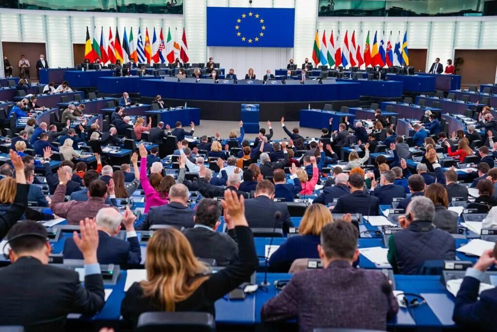 Выступление в европарламенте. Выступление в парламенте. европарламентарии в грузии. европейское сообщество совещание. украинский депутат за россию.