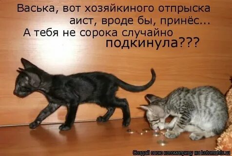 Что означает краля