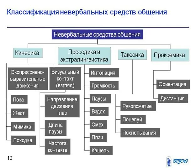 Невербальные средства общения кинесика. Классификация невербальной коммуникации. Виды невербальных средств общения. Невербальное общение схема. Невербальные способы успешной коммуникации