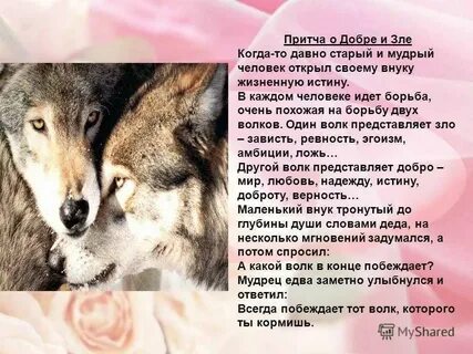Сказка о добре зле и любви