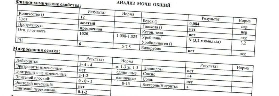 Белок в моче 3 триместр норма. Суточный анализ мочи на белок норма. Анализ на суточный белок в моче. Анализ белок в моче норма. Суточный анализ мочи на белок при беременности норма.