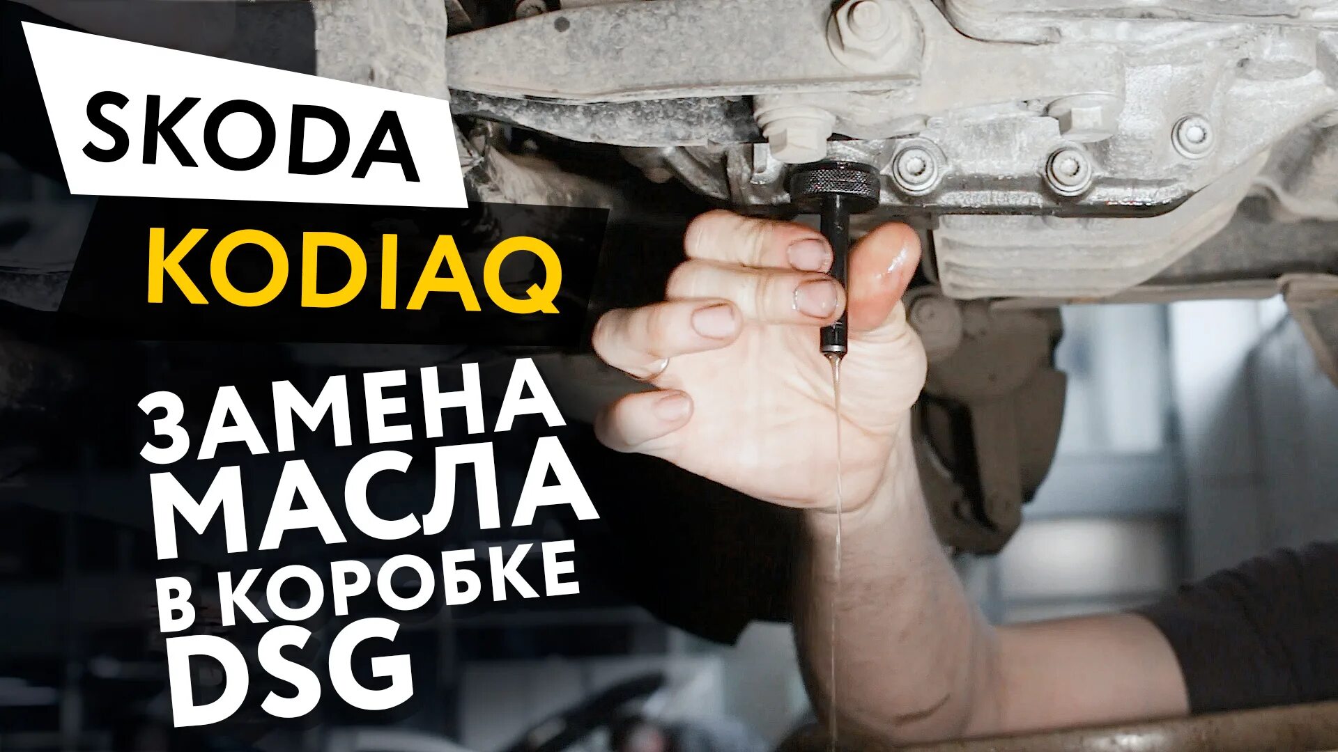 Замена масла ДСГ Шкода. Замена масла в ДСГ Kodiaq. Фильтр DSG АКПП Kodiaq. Шкода Кодиак масло в ДСГ. Масло акпп кодиак