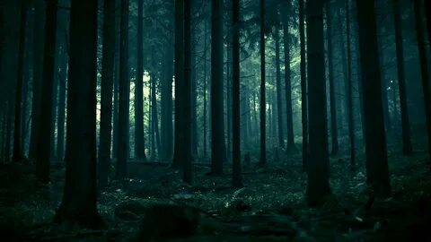 Night environment
