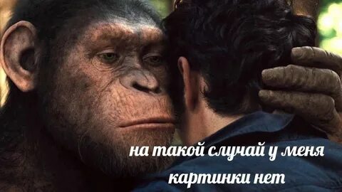Обезьяна говорит человеку