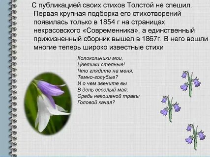 Стихи толстого 12 строк