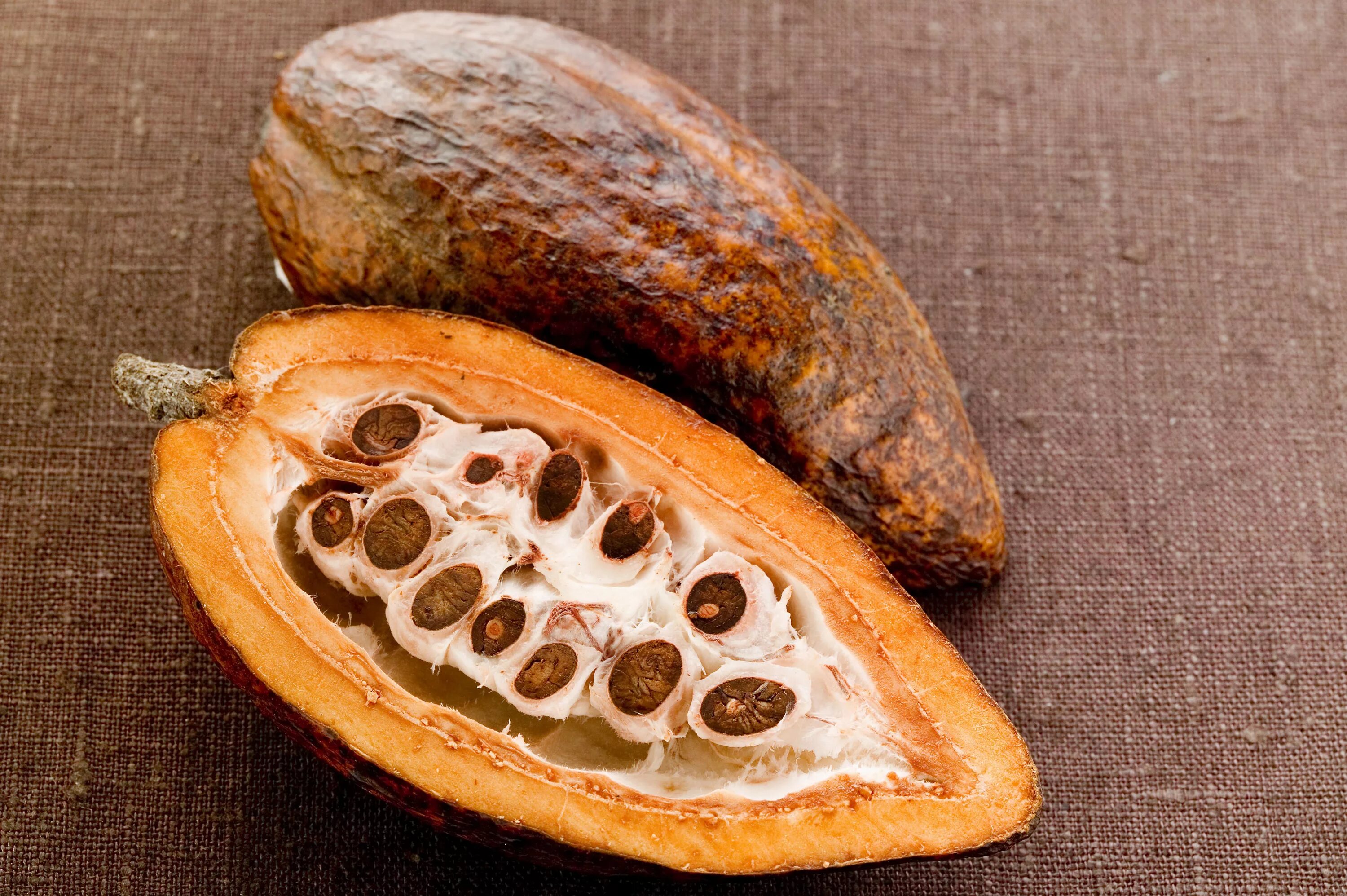 Какао бобы. Какао бобы растение. Стручок какао бобов. Како бо,. Плоды какао.