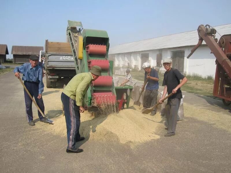 Сев сахарной свеклы. Схпк-колхоз -племзавод радищево. Банкрот колхоза. Красногорка омская область. Заброшенный совхоз.