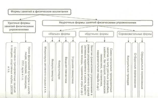 Images МАЛЫЕ ФОРМЫ САМОСТОЯТЕЛЬНЫХ ЗАНЯТИЙ