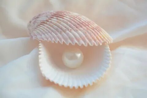 Shell pearl