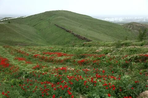 Копет даг