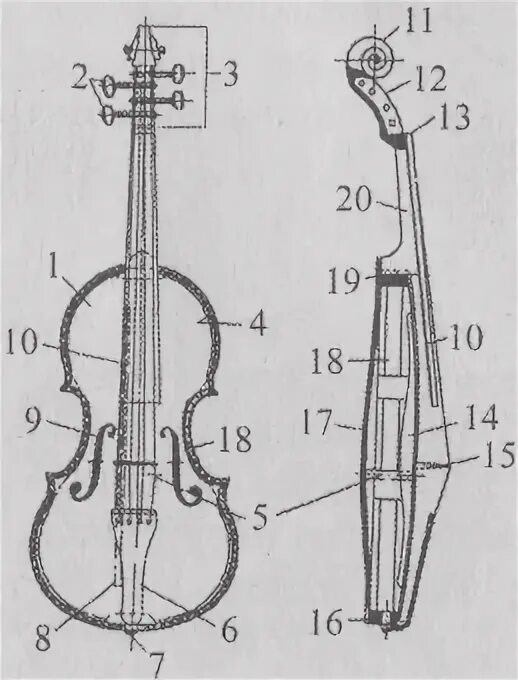 Строение скрипки. Скрипка схема. Скрипка чертеж. Части скрипки и смычка. Схема скрипки