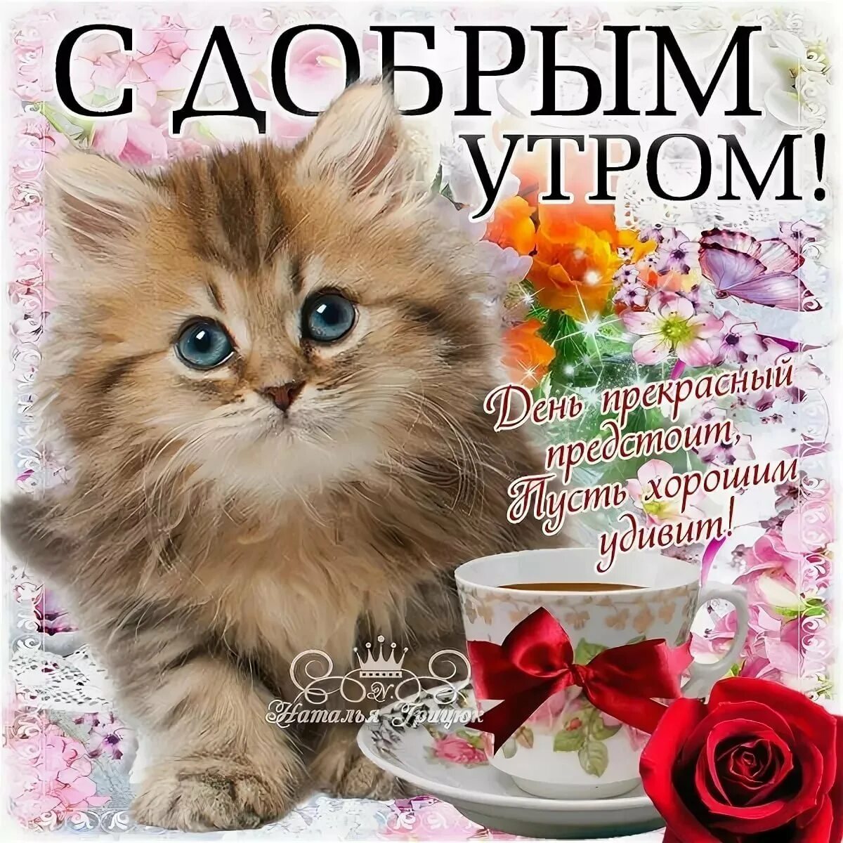 Красивые открытки с добрым утром с котиками