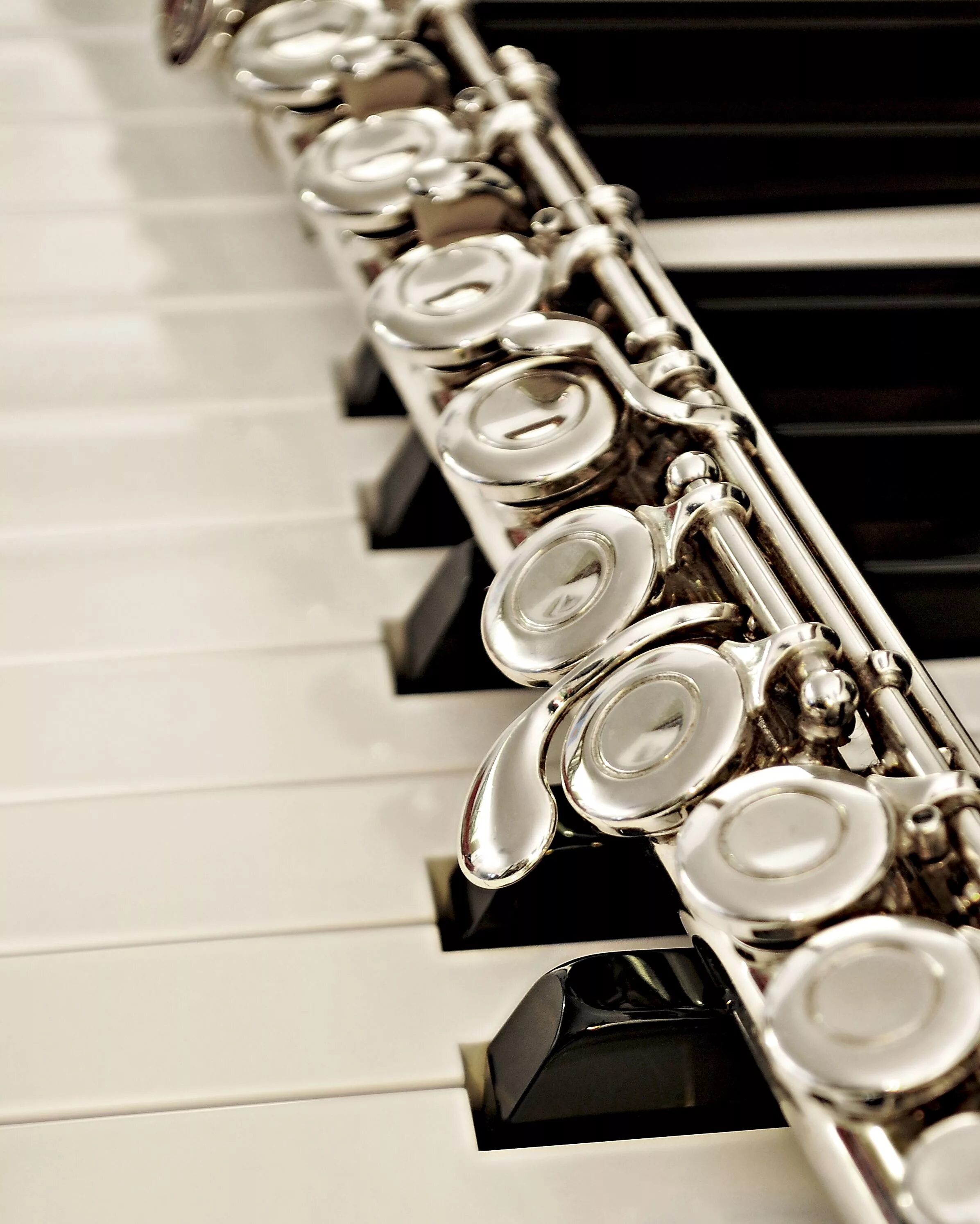 Музыка флейта фортепиано. Флейта и рояль. Музыка флейта фортепиано. Флейта и рояль. Флейта и цветы.