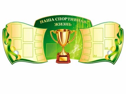 Спортивная жизнь школы