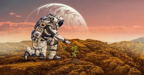 Life on other planets