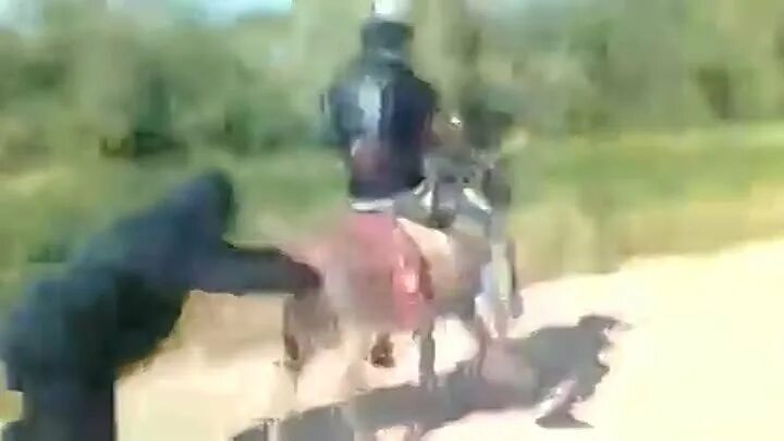 Вырубить осла в постели что. Вырубить осла поза. Верхом на осле. Вырубить осла в постели что. Вырубить осла.