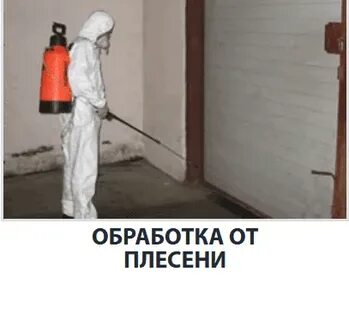 Вызвать сэс в квартиру